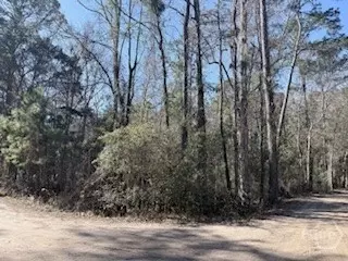 138-140 Dogwood Ln, Midway, GA 31320