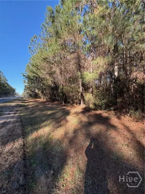 3 Mccall Rd # C, Springfield, GA 31329 photo 2