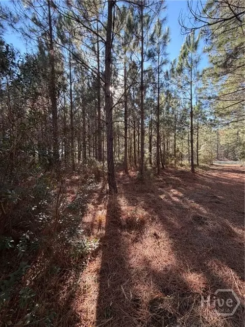 3 Mccall Rd # C, Springfield, GA 31329 photo 3