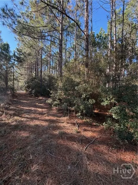 3 Mccall Rd # C, Springfield, GA 31329 photo 4