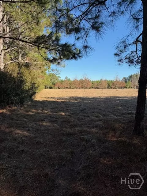 3 Mccall Rd # C, Springfield, GA 31329