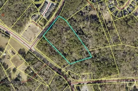 0 Timber Trl, Richmond Hill, GA 31324