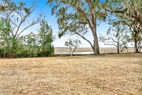 0 NE Coopers Point Dr NE #LOT 39, Townsend, GA 31331