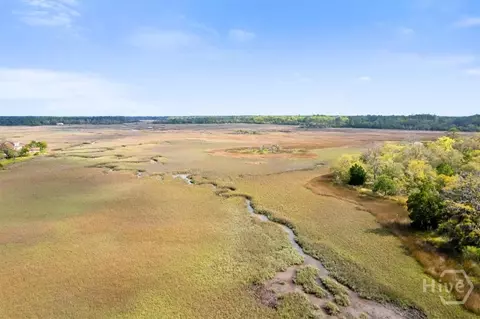 lot3 Bermuda Bluff Ln, Midway, GA 31320 photo 25