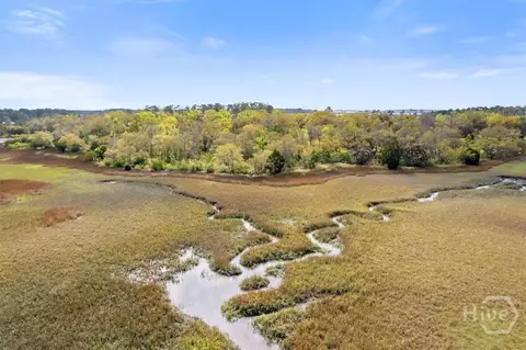 lot3 Bermuda Bluff Ln, Midway, GA 31320 photo 24