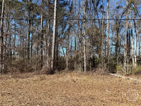 0 Barrington Ferry Rd, Riceboro, GA 31323