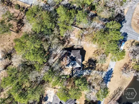 View/Area - 100 Cypress Dr, Rincon, GA 31326 photo 6 of 11