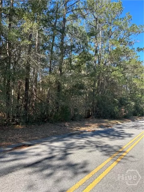 lot4 Palm Island Dr, Midway, GA 31320