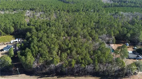 0 Highway 21 N, Springfield, GA 31329 photo 2