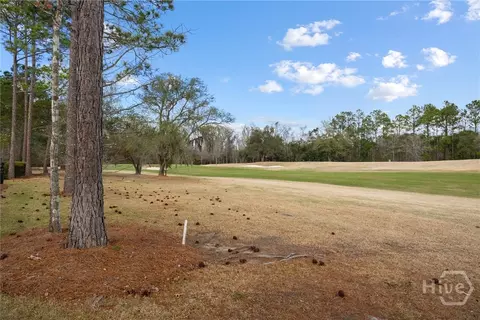 Exterior - 168 Kingfisher Cir, Pooler, GA 31322 photo 16 of 17