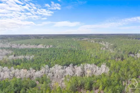 Undisclosed, Brooklet, GA 30415 photo 19