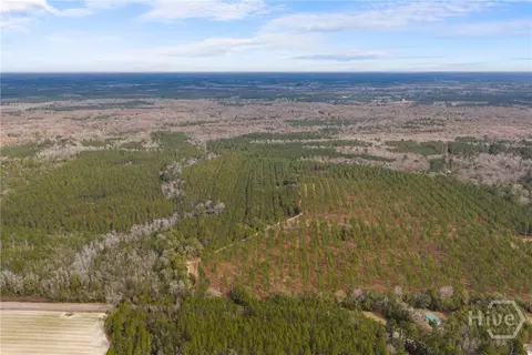 Undisclosed, Brooklet, GA 30415 photo 42