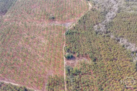 Undisclosed, Brooklet, GA 30415 photo 25