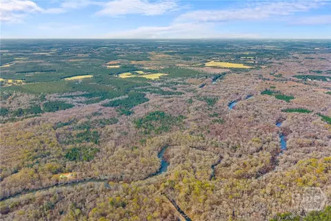 Undisclosed, Brooklet, GA 30415 photo 10
