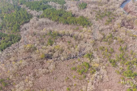 Undisclosed, Brooklet, GA 30415 photo 21