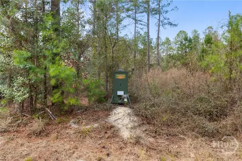 Undisclosed, Brooklet, GA 30415 photo 50