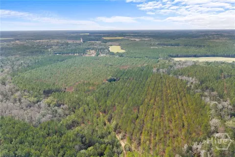 Undisclosed, Brooklet, GA 30415 photo 24