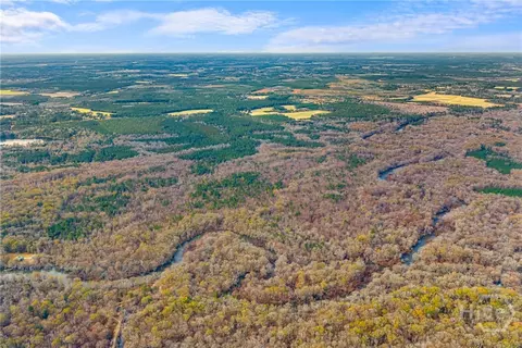 Undisclosed, Brooklet, GA 30415 photo 9