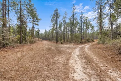 Undisclosed, Brooklet, GA 30415 photo 48
