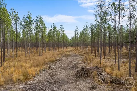 Undisclosed, Brooklet, GA 30415 photo 36