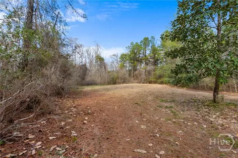 Undisclosed, Brooklet, GA 30415 photo 55