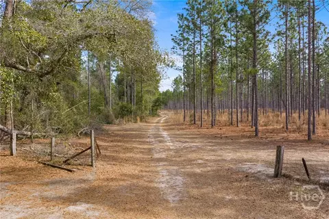 Undisclosed, Brooklet, GA 30415 photo 35