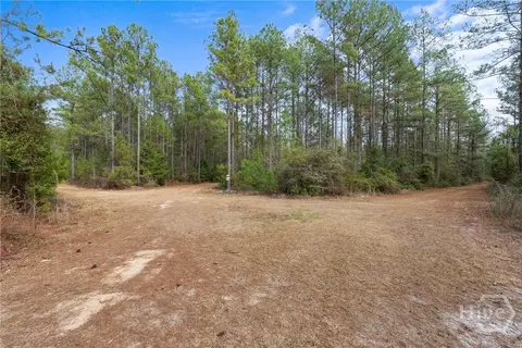 Undisclosed, Brooklet, GA 30415 photo 49