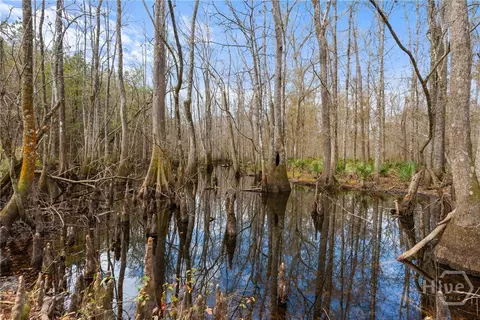 Undisclosed, Brooklet, GA 30415 photo 54