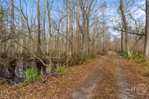 Undisclosed, Brooklet, GA 30415 photo 53