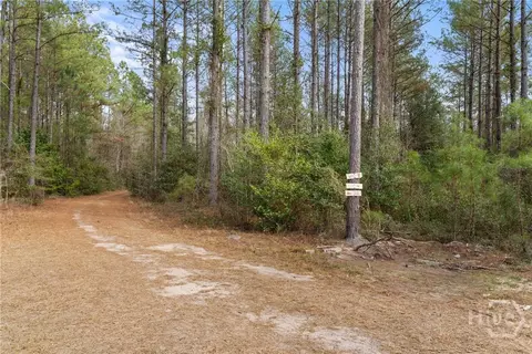 Undisclosed, Brooklet, GA 30415 photo 51