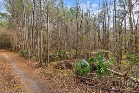 Undisclosed, Brooklet, GA 30415 photo 52