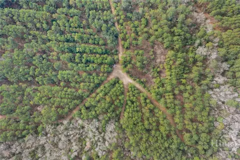 Undisclosed, Brooklet, GA 30415 photo 23