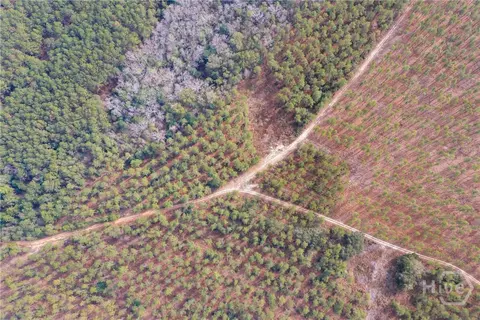 Undisclosed, Brooklet, GA 30415 photo 26