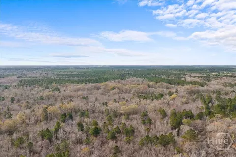 Undisclosed, Brooklet, GA 30415 photo 30