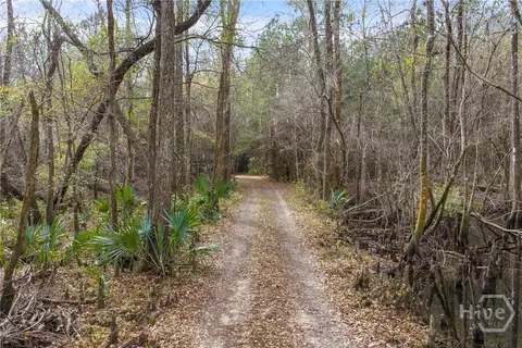 Undisclosed, Brooklet, GA 30415 photo 44