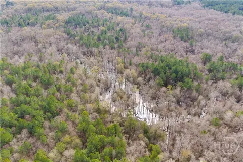 Undisclosed, Brooklet, GA 30415 photo 18