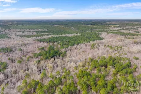 Undisclosed, Brooklet, GA 30415 photo 15