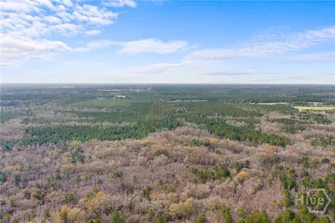 Undisclosed, Brooklet, GA 30415 photo 29