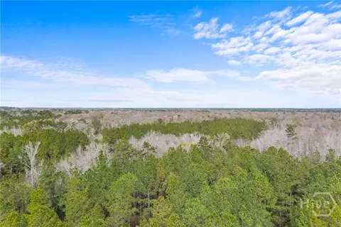 Undisclosed, Brooklet, GA 30415 photo 20