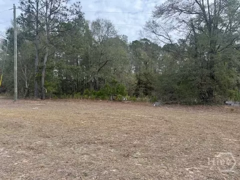 287 Wallace Dr, Springfield, GA 31329 photo 3