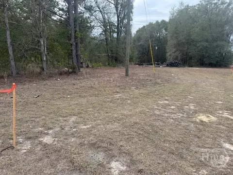 287 Wallace Dr, Springfield, GA 31329