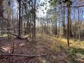 4637 Wire Rd, Summerville, SC 29485