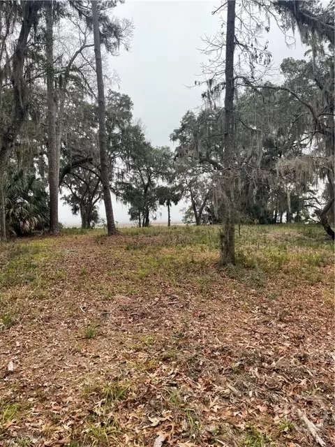 2050 Belle Hammock Rd NE, Townsend, GA 31331