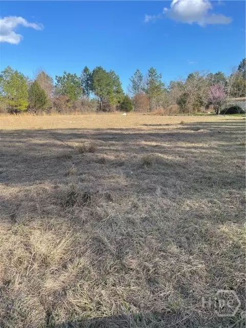 1564 Chapman Plantation Rd, Jesup, GA 31545