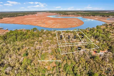 1775 Delegal Rd, Townsend, GA 31331