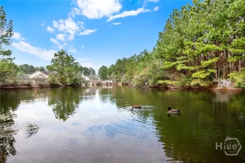 159 Clydesdale Ct, Guyton, GA 31312 photo 42