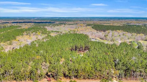 5200 Old River Rd S, Brooklet, GA 30415 photo 48