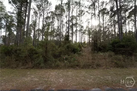 0 Marsh Way NE, Townsend, GA 31331 photo 8