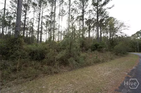 0 Marsh Way NE, Townsend, GA 31331 photo 6