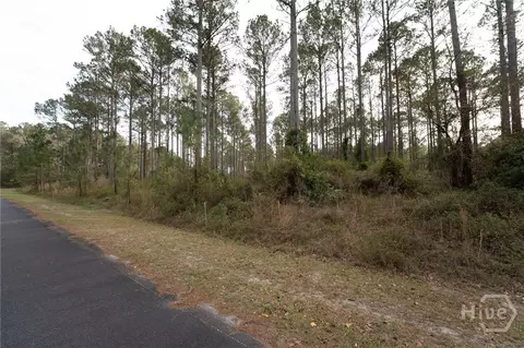 0 Marsh Way NE, Townsend, GA 31331 photo 7